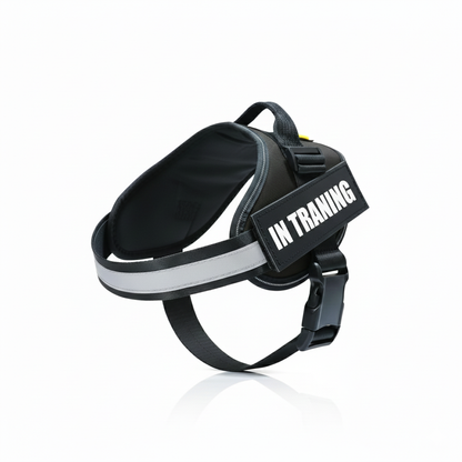 Reflecterende Hondenriem